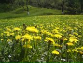 Міша Motsa фотография #7 (источник - https://vk.com/id52852421)