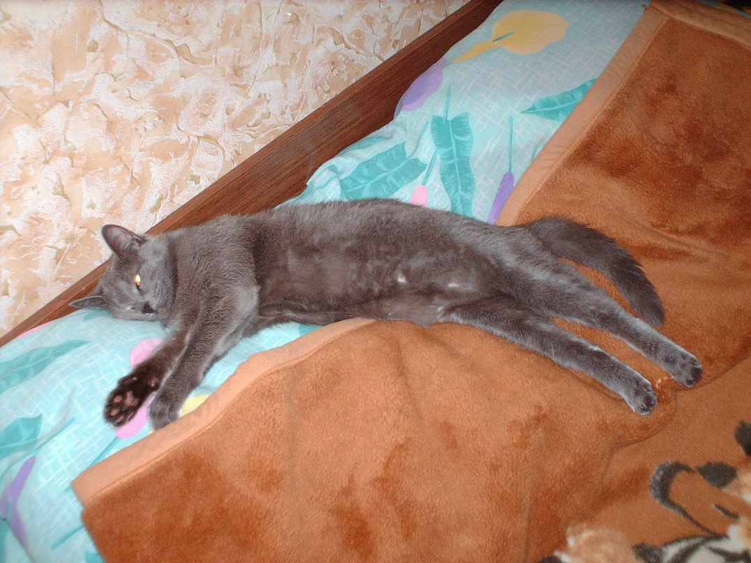 Илья Воробьев фотография #46
