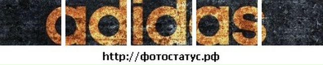 Діма Козак фотография #26 (источник - https://vk.com/id104632051)