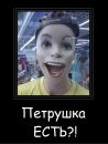 Фотография Шапошникова Димы