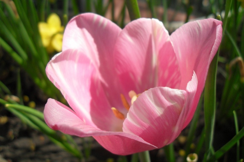 Наташа Салянко фотография #10