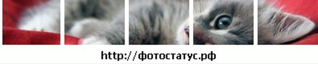 Саша Кізун фотография #7 (источник - https://vk.com/id33023355)