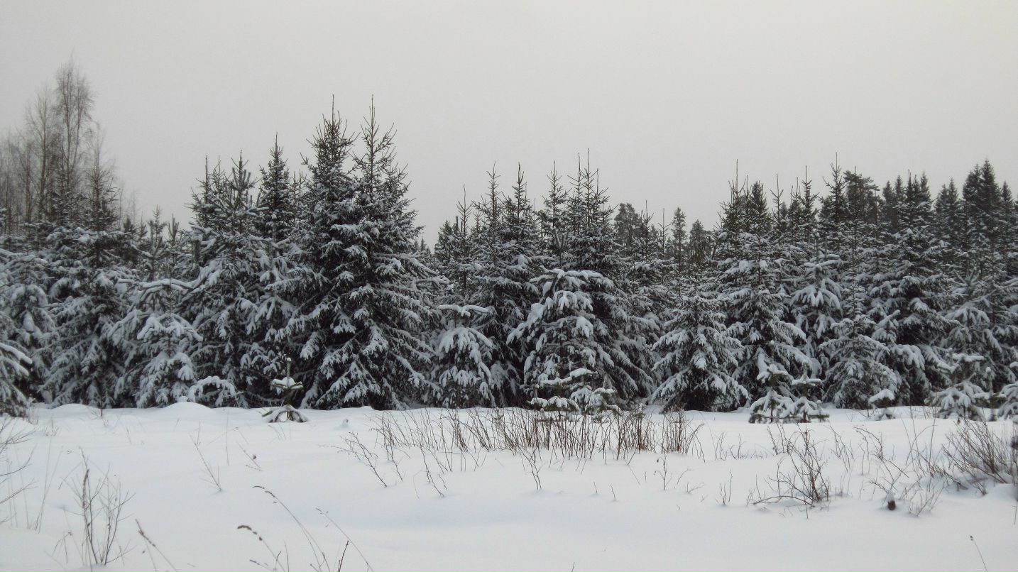 Сергей Новков фотография #49