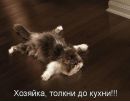 Діма Вознюк фотография #25 (источник - https://vk.com/id150503714)