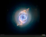 Фотография Русова Ричарда