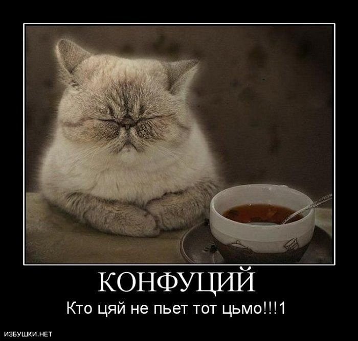 Денис Старос фотография #28