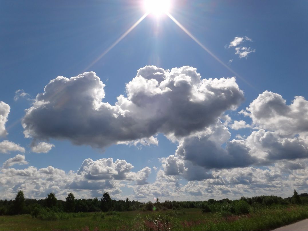 Дмитрий Стрелков фотография #37