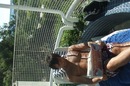 Burak Özil фотография #1