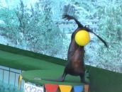 Іра Саморіз фотография #25 (источник - https://vk.com/id99859328)