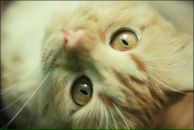 Фотография Макаровой Екатерины