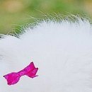 Іванна Панчук фотография #48 (источник - https://vk.com/id70090382)