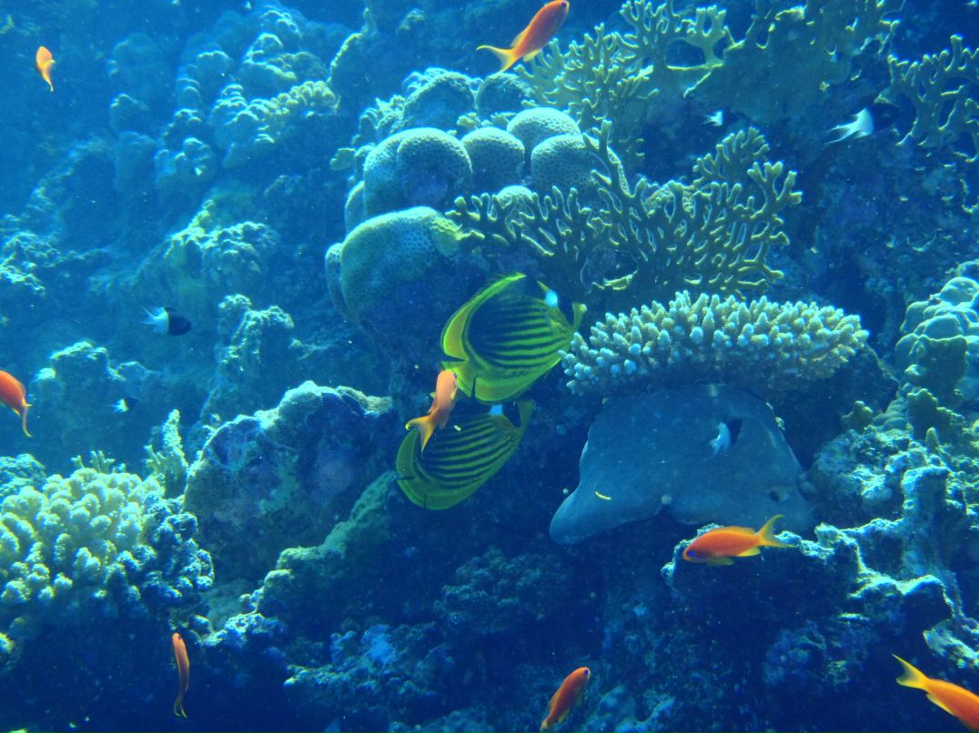 Vit Mi фотография #28