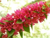 Дмитрий Фёдоров фотография #24 (источник - https://vk.com/id28347)