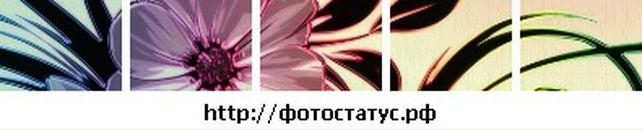 Каруся Фітькал фотография #17 (источник - https://vk.com/id107907758)