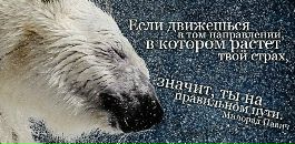 Milen *** фотография #3 (источник - https://vk.com/id137159262)