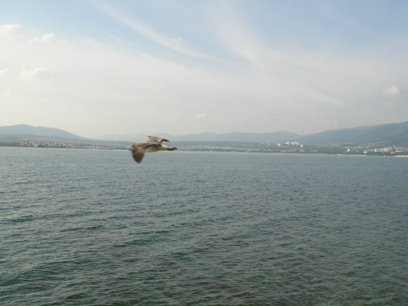 Катя Степанова фотография #13