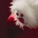 Ірина Криницька фотография #37 (источник - https://vk.com/id133914453)