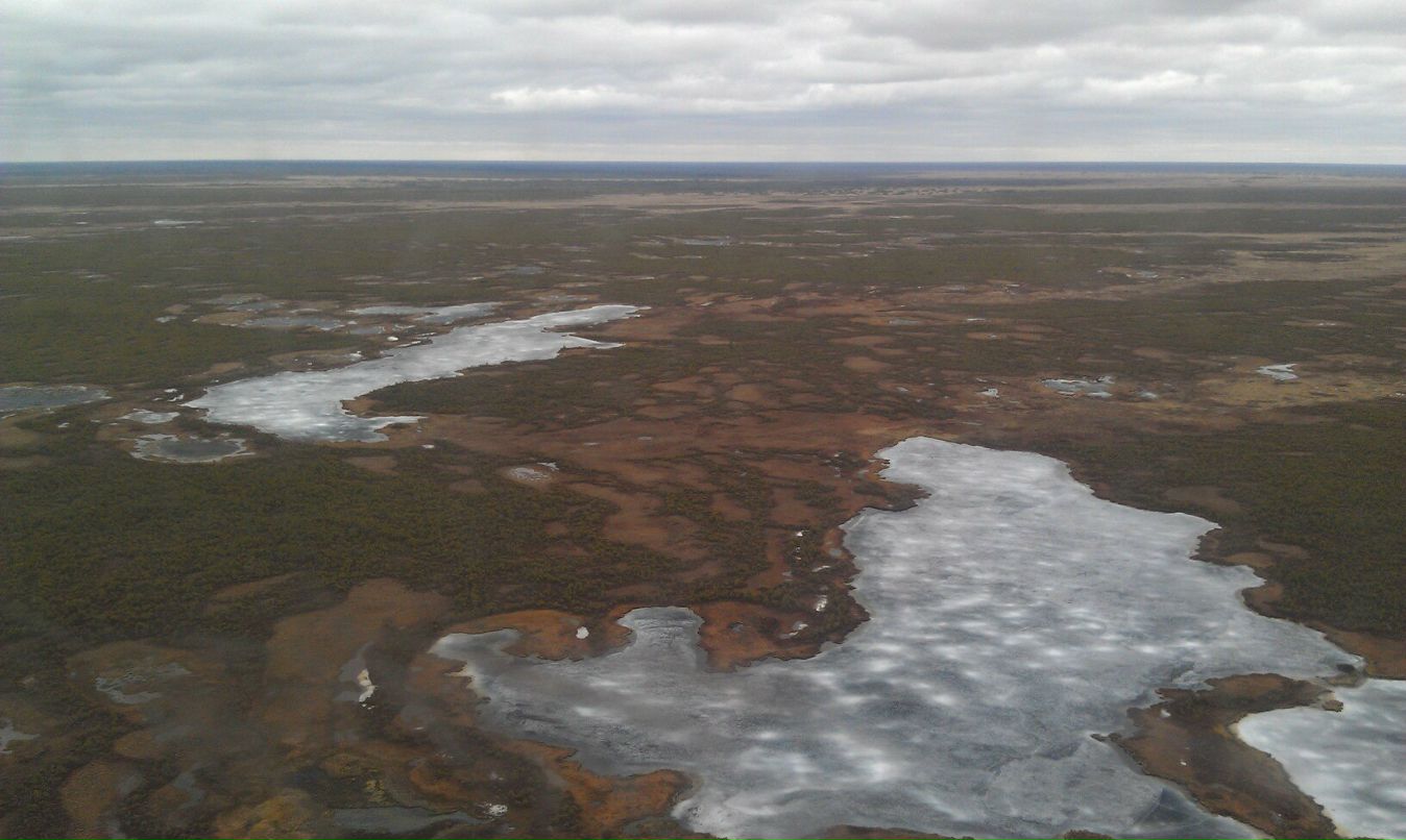 Rad Mir фотография #31