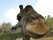 Фотография Быкова Виктора