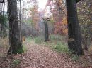 Луїза Бедін фотография #6 (источник - https://vk.com/id144050814)