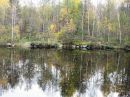 Луїза Бедін фотография #13 (источник - https://vk.com/id144050814)