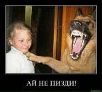 Вадім Cayman фотография #6 (источник - https://vk.com/id21337860)