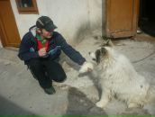 Віталік Королюк фотография #10 (источник - https://vk.com/id65429080)