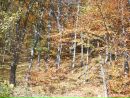 Нютик Бухінська фотография #38 (источник - https://vk.com/id131322335)