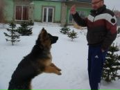 Кейт =) фотография #4 (источник - https://vk.com/id120276117)