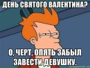 Фотография aka Dgihat Кардинала