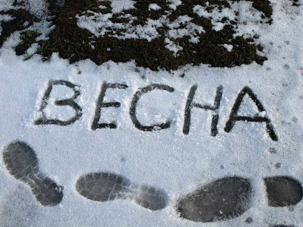 №9, Карамелла Мар, 36 лет №9, Карамелла Мар, 36 лет