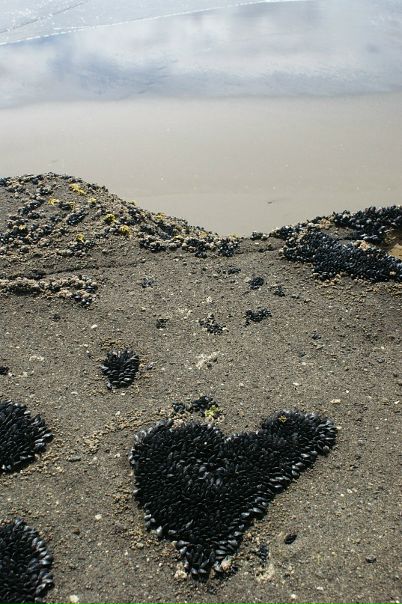 Anna Markova фото №5