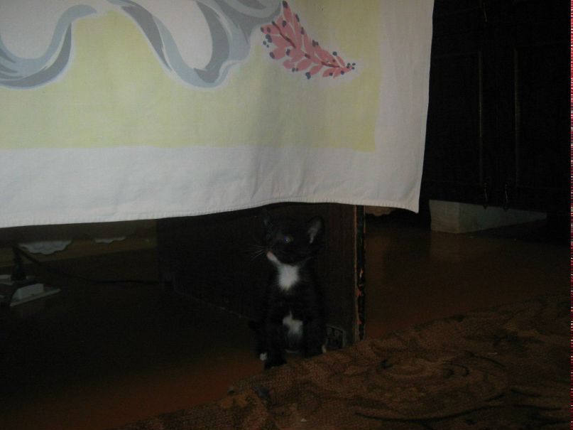 Наташа Кошелева фотография #35