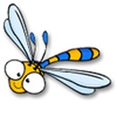 Фотография Комаровой Елены