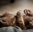 Іра Грицай фотография #1