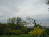 Юлія Парфеса фотография #14 (источник - https://vk.com/id6576639)