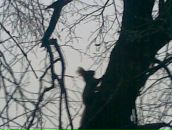 Сергій Манжура фотография #47 (источник - https://vk.com/id155292009)