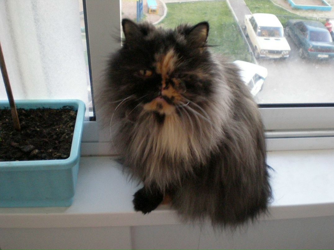 Сергей Суетин фотография #1