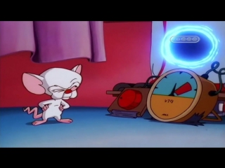 Пинки, Элмайра и Брейн (5 сезон 22 Серия)