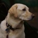 Malcolm Kelley фотография #36 (источник - https://vk.com/id28200856)