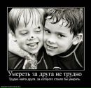 Вікторія Литко фотография #3 (источник - https://vk.com/id173395936)