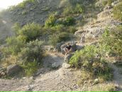 Ромчик Васильків фотография #7 (источник - https://vk.com/id14295781)