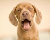 Фотография Соловьевой Светланы