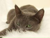 Фотография Мозалевской Женечки