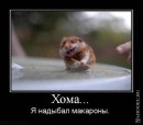 Андрій Гойнацький фотография #34 (источник - https://vk.com/id18357030)