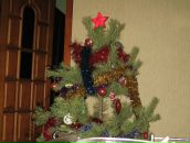 Фотография Фазылянова Димыча