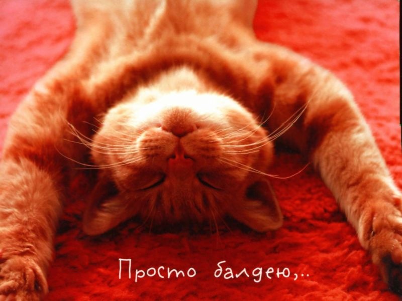 Леонид Никитенко фотография #9