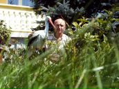 Ігор Солтан фотография #28 (источник - https://vk.com/id63835188)