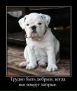 Фотография Кураченко Яны