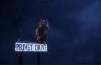 Дима Перевозчиков фотография #23 (источник - https://vk.com/id831756)